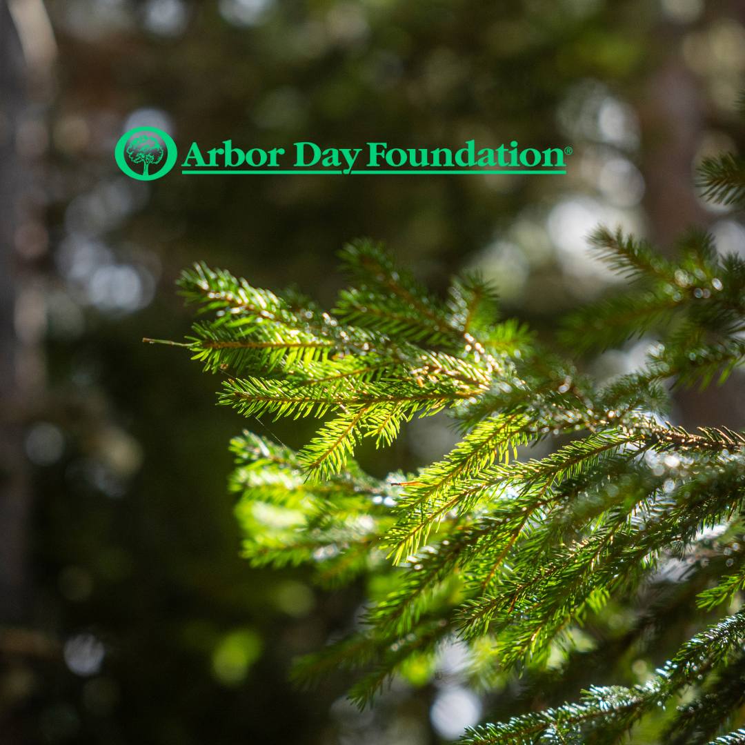 Eenhoorn Plants 20,000 Trees With The Arbor Day Foundation - Image Of A Tree and the Arbor Day Foundation Logo