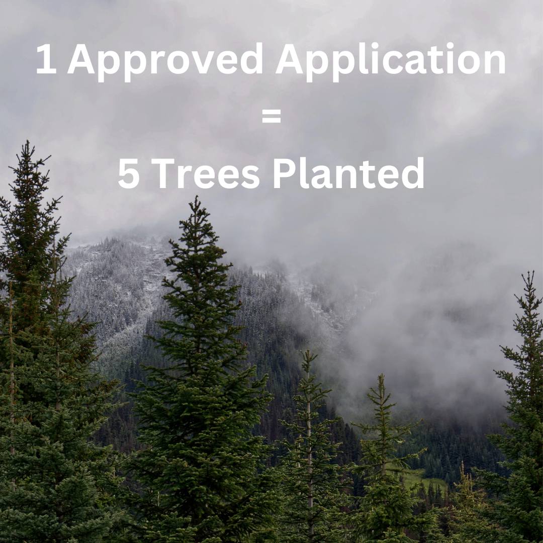 3 Eenhoorn Plants 20,000 Trees With The Arbor Day Foundation - Image Of A Tree With Description Of Our Initiative